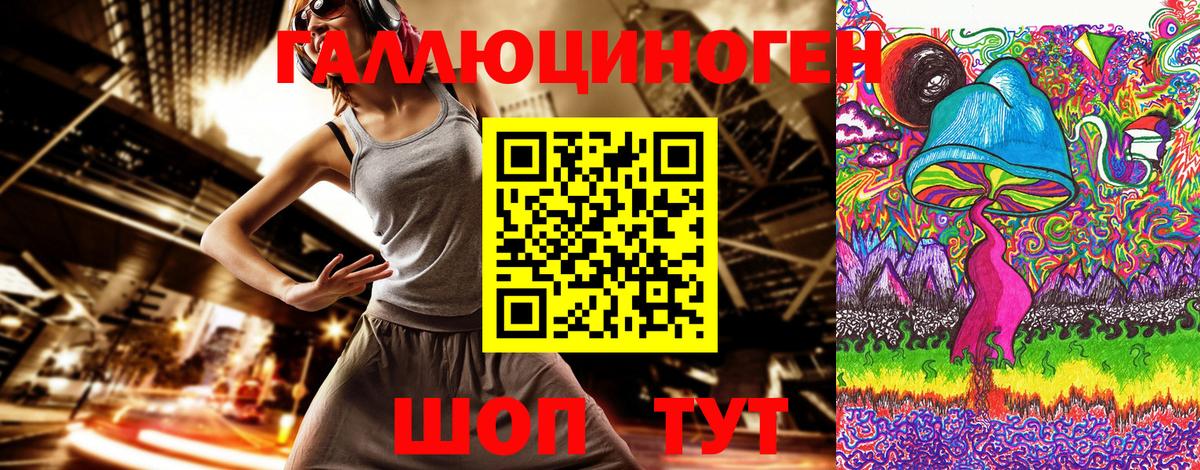 Псилоцибиновые грибы Psilocybine cubensis Брянск