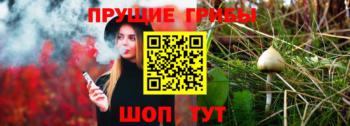 Псилоцибиновые грибы прущие грибы  Вход с VPN  Брянск 