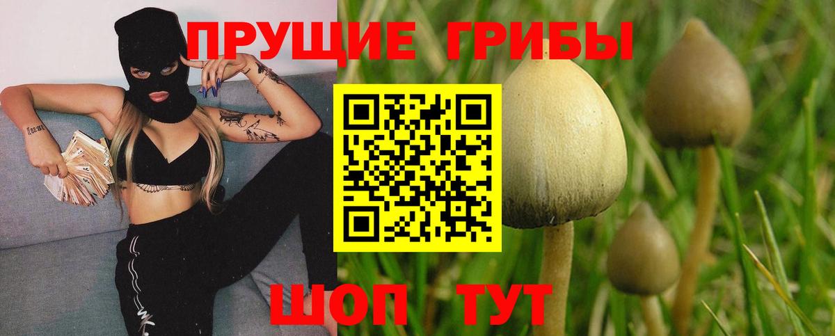 где продают   Брянск  Галлюциногенные грибы ЛСД 