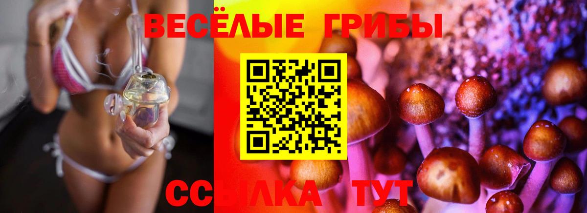 Галлюциногенные грибы мицелий Брянск